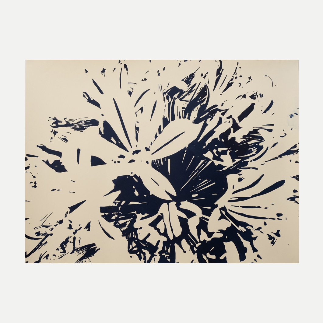 Agapanthus-Exploded-II-01